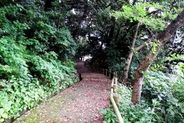 <p>Going back down to the ground level is also tough!</p>