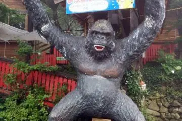 You're at the right place when you see the gorilla marking the entrance to "Fox Village"