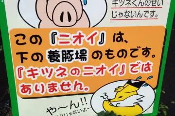 A sign explaining that the smell in the air is not the foxes but the nearby pig farm