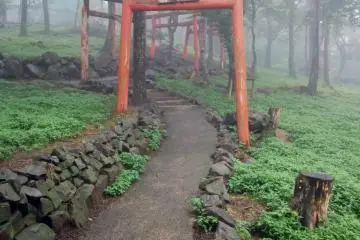 Follow the tori gate to...