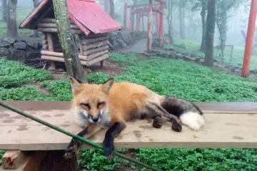 Posing for the camera