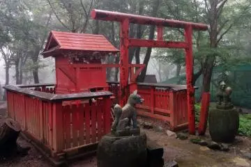 an Inari&nbsp;shrine. Foxes are messengers of the deity Inari, so be nice to them and they will say nice things about you