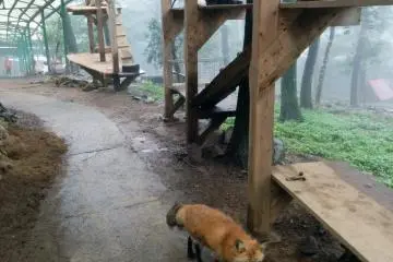 You'll have to share the walkways with the locals