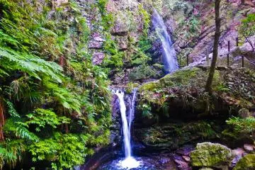 <p>At last! Reaching the final destination of Odaki-taki (the male waterfall) and Medaki-Taki (female waterfall)</p>