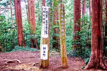 <p>The peak of Ootaka-tori Mountain (大高取山)</p>