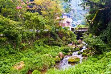 <p>As you approach the main waterfalls notice how the vegetation along the riverbank seems to become even richer</p>
