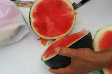 <p>Cutting the black watermelon</p>