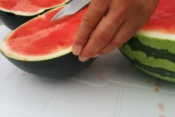 <p>Cutting the black watermelon</p>