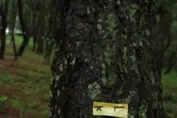 <p>แน่นอนผู้พิทักษ์ต้องมีป้ายแห่งเกียรติยศ มันแสดงให้เห็นว่ามีผู้ดูแลเขาอยู่อีกที ;)</p>