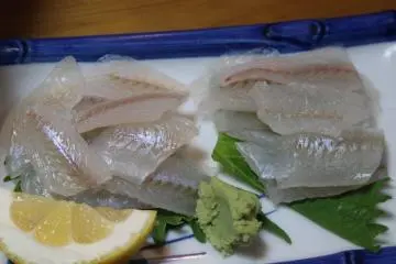 후쿠이산 키스 회