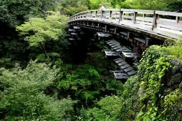 Seorang turis merenung, menikmati pemandangan