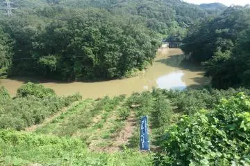 <p>The lower half of the farm is right by a river</p>