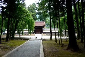 The path from the entrance had many tall straight trees on either side.