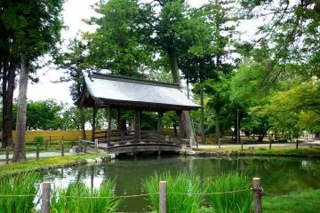 The pond featured an unusual covered wooden bridge