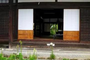 <p>Lilies bloomed in the garden</p>