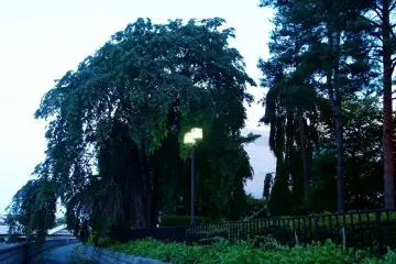 <p>Penerangan lampu jalan di sepanjang sungai</p>
