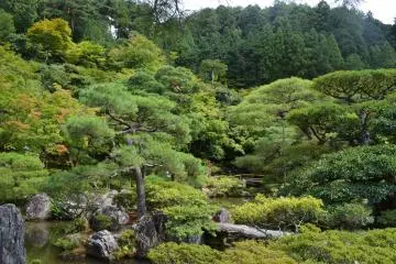 <p>ภายในวัดถูกล้อมรอบด้วยธรรมชาติที่สวยงาม</p>