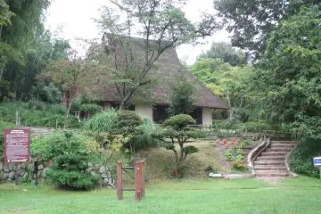 <p>Greenery envelopes the old farmhouses</p>