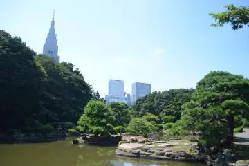 <p>สวนชินจูกุ เกียวเอ็นเป็นสวนสาธารณะที่เก่าแก่ทและสวยงามมากที่สุดในโตเกียว</p>
