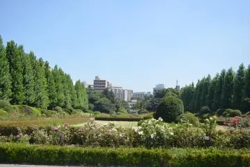 <p>สวนสไตล์ฝรั่งเศสบนพื้นที่ขนาดใหญ๋</p>
