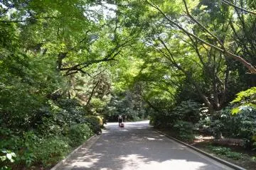 <p>สถานที่พักผ่อนหย่อนใจของผู้คนทุกวัย</p>
