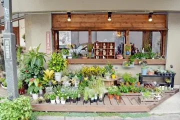<p>ร้านนี้ตกแต่งด้วยต้นไม้สวยงาม</p>
