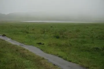 <p>เดินฝ่าหมอกเข้าไปในปล่อง</p>