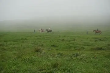 <p>มีม้าให้ขี่เดินวนใกล้ๆ</p>