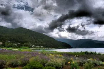 The Herb Festival was popular despite the somewhat foreboding sky