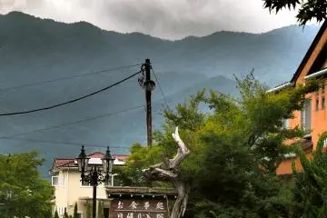 <p>A dead tree under the heavy clouds</p>