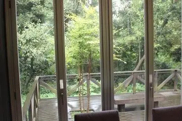 초록이 보이는 자리. 밖의 테라스석도 있다.