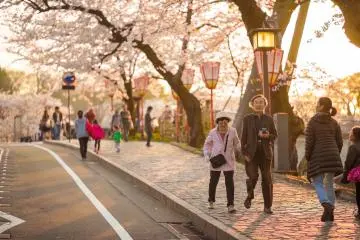 <p>ภาพน่ารักๆอีกภาพที่เราจะได้เห็น คือภาพของผู้สูงอายุที่พากันออกมาเดินชมความงามของซากุระ โดยเฉพาะคู่รักสูงวัยที่กุมมือและเดินไปพร้อมๆกัน เป็นบรรยากาศที่ทำให้การชมซากุระนั้นดูโรแมนติคมากขึ้นกว่าเดิมหลายเท่าตัว&nbsp;</p>