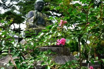 <p>This statue of Buddha seems to be blessing the flowers</p>