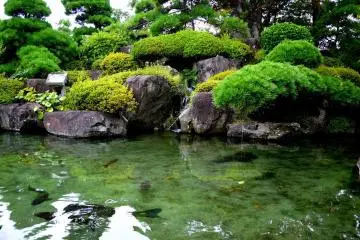 <p>Kai-Zenkoji had one of the clearest ponds I've ever seen</p>