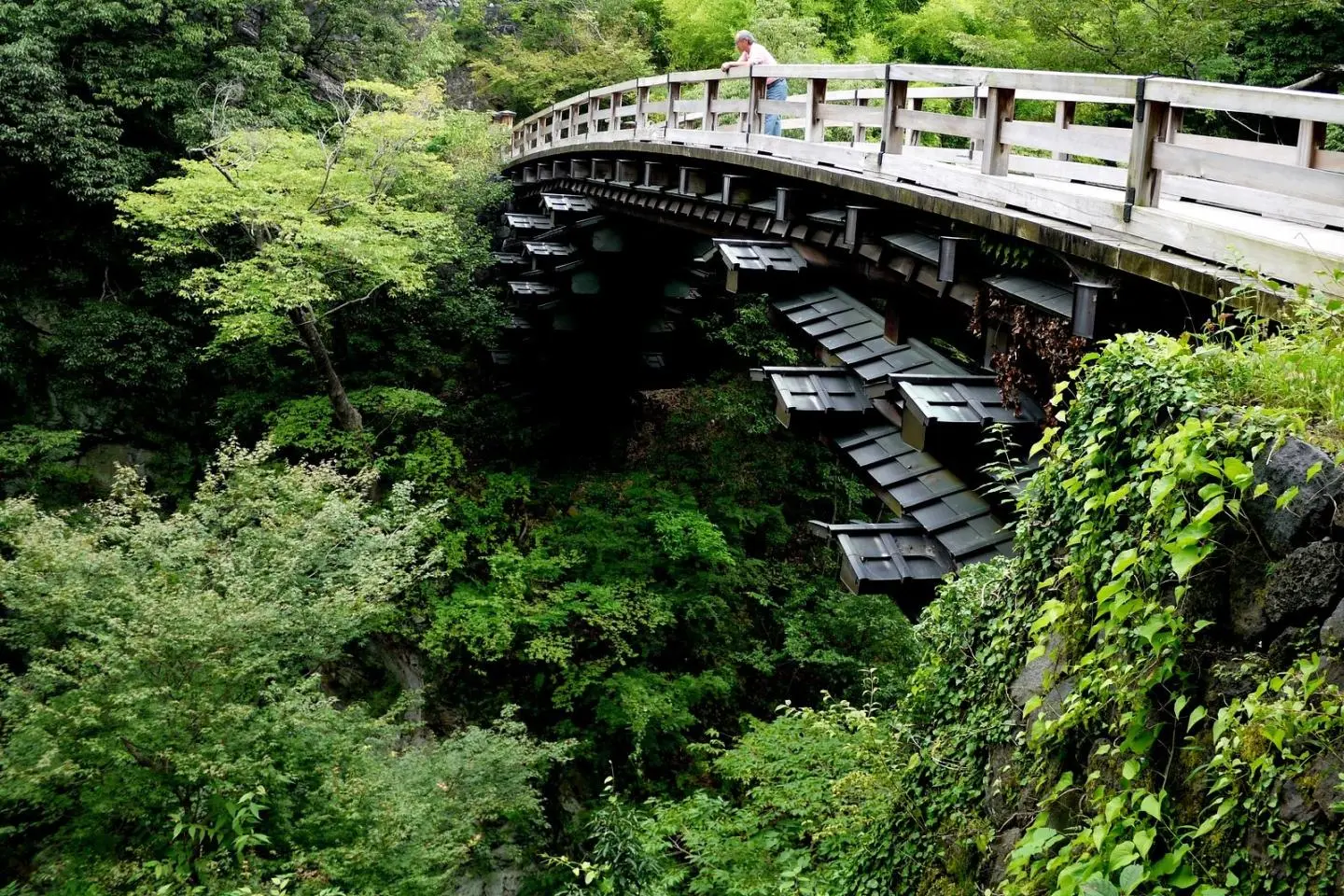 Saruhashi - the Monkey Bridge