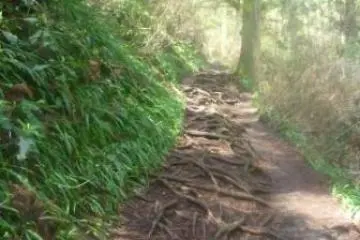 Along the Biwa trail