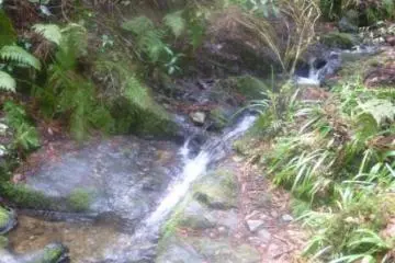 Along the Biwa trail