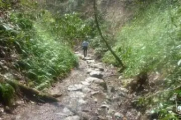 Along the Biwa trail