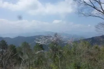 View from the top of Takao