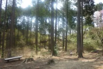 Along the trail from Takao to Jimba
