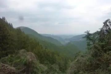 View along the trail from Takao to Jimba