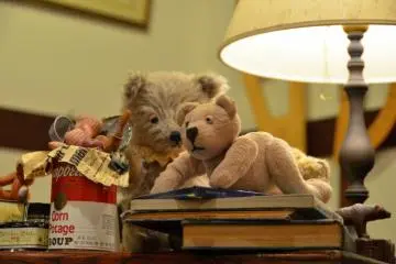 <p>A teddy lounges on a book.</p>