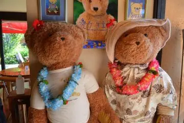 <p>Little Bears Cafe&nbsp;</p>