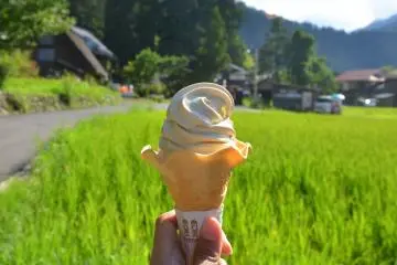 더운 여름날 차가운 아이스크림은 정말 천국같다