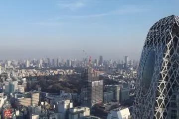 <p>Shinjuku Park, some construction, and Cocoon Tower</p>