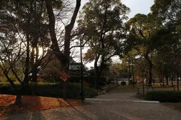 The temple grounds illuminated by the setting sun