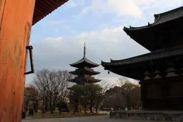 강당 쪽에서 오층탑을 
