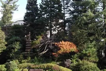 <p>The restful garden at Giunji</p>