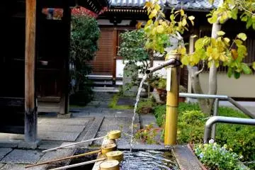 <p>Cleanse your hands here</p>