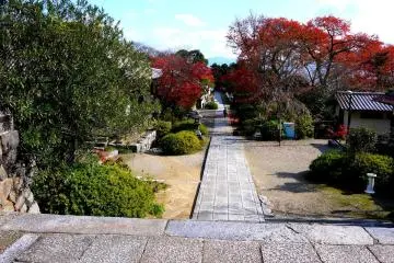 <p>There is a long straight path from the gate</p>